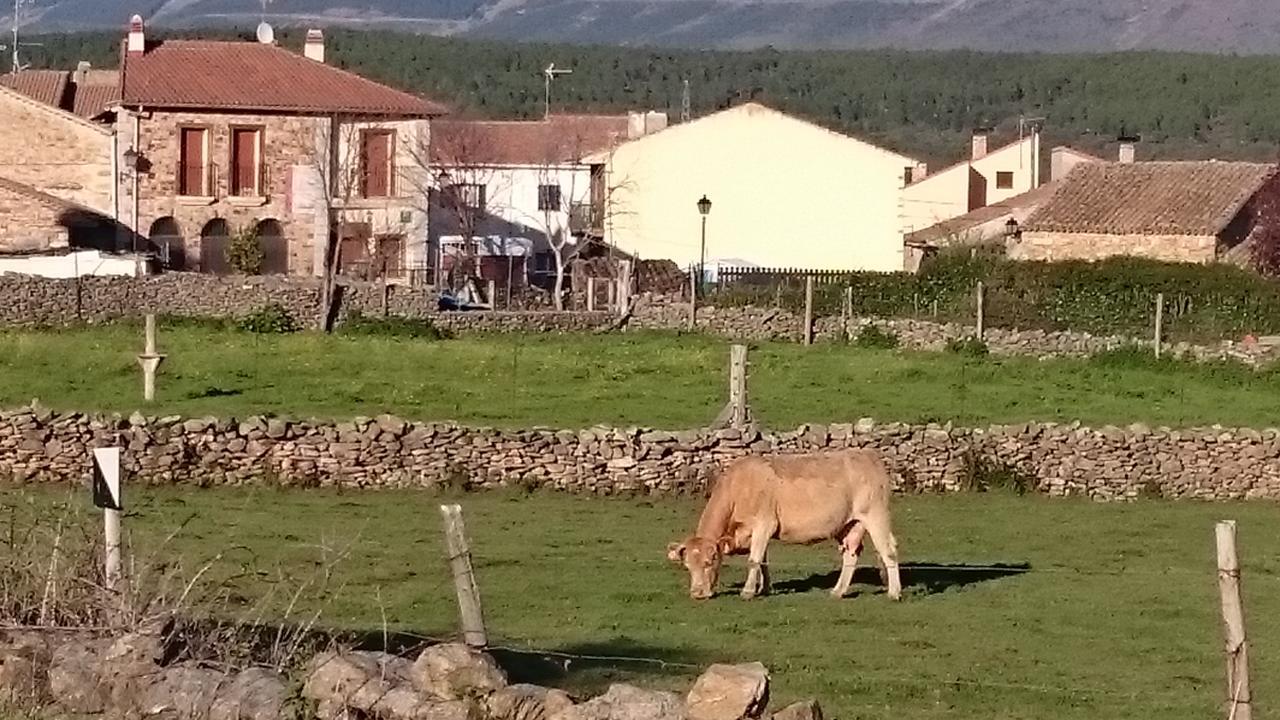 Posada La Fragua Gandullas エクステリア 写真